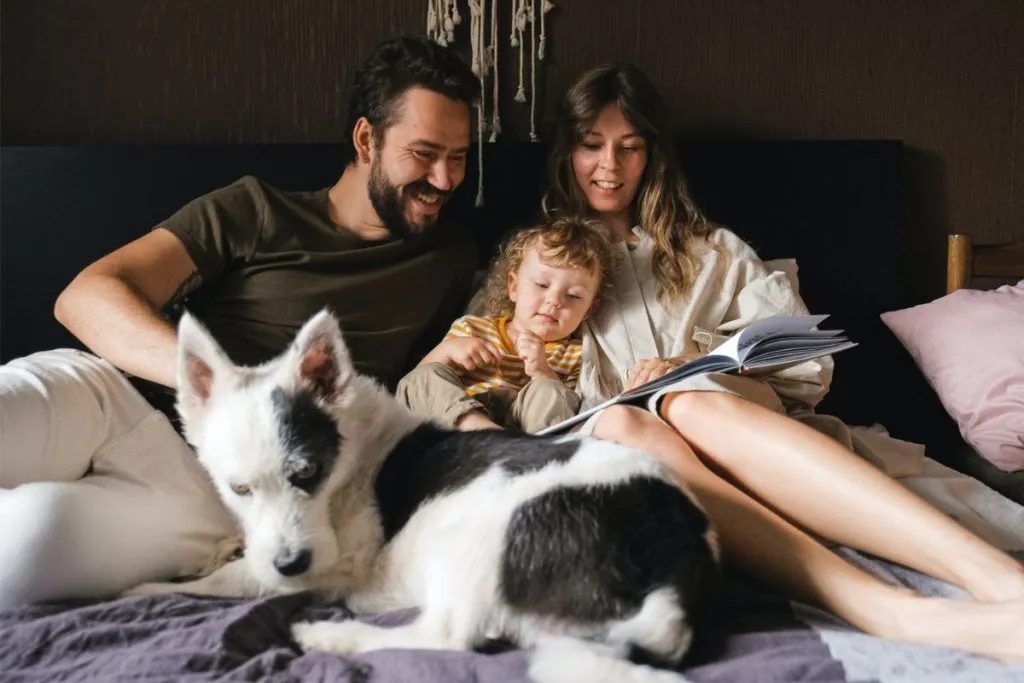 Top 3 investiții mici, dar esențiale pentru locuința și familia ta