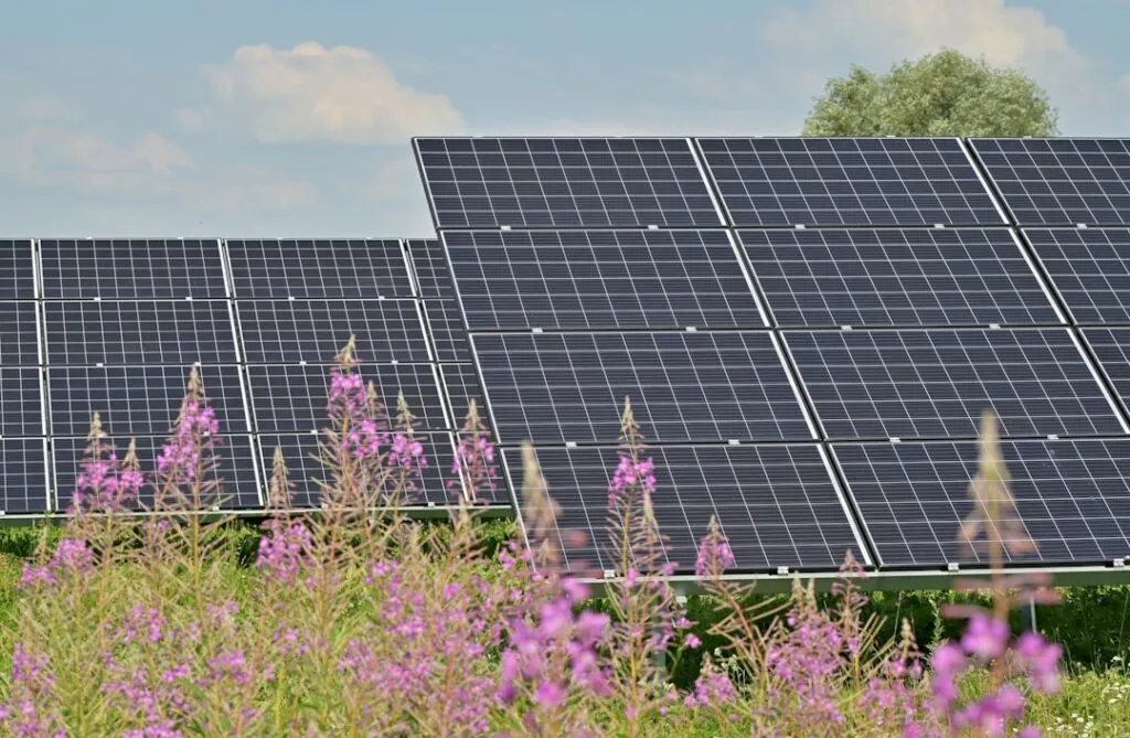 Gadgeturi Eco-Friendly și Tehnologia Verde Photo Solar panels