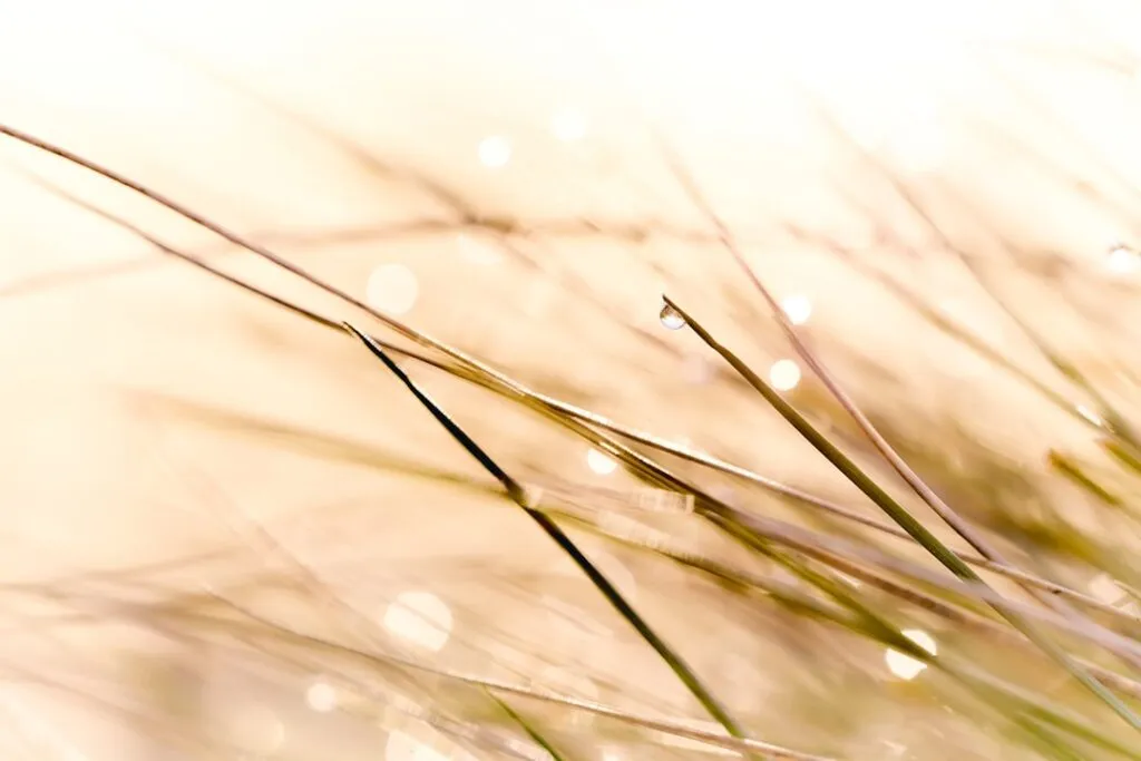 7 obiceiuri zilnice care te fac mai fericit și mai împlinit Photo Morning meditation