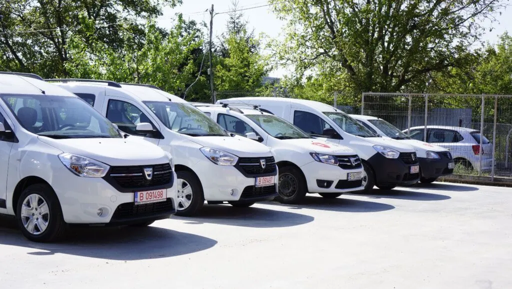 Servicii DDD complete pentru companii și asociații de proprietari